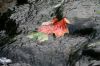 Filename=08~0.jpg
Filesize=334KB
Dimensions=800x533
Date added=Nov 15, 2011 08~0.jpg