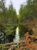 Filename=070~0.JPG
Filesize=233KB
Dimensions=480x640
Date added=Sep 29, 2013 070~0.JPG