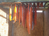 arctic_char_drying_image.png