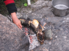 fish_fire_IMG_4898_copy.png